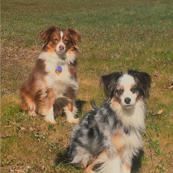 Meet your Posher, Kerri - Picture 2 of 2